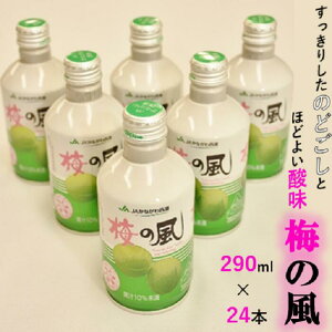 yӂ邳Ɣ[ŁzJAȂ퐼Á@~̕ij290ml×24