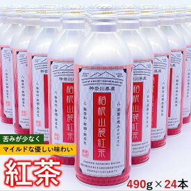 【ふるさと納税】紅茶リシール缶490g×1ケース（24本）
