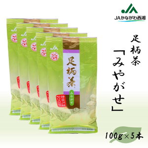 yӂ邳Ɣ[Łzyz݂₪500gi100g×5{j
