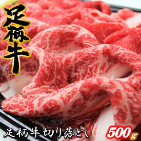 【ふるさと納税】足柄牛【焼肉・しゃぶしゃぶ用】切り落とし500g