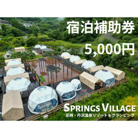 【ふるさと納税】SPRINGS VILLAGE 足柄丹沢温泉リゾート&グランピング 宿泊補助券 5000円【1480503】