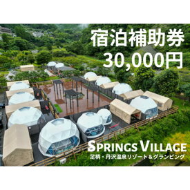 【ふるさと納税】SPRINGS VILLAGE 足柄丹沢温泉リゾート&グランピング 宿泊補助券 30,000円【1480506】