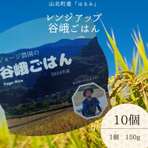 yӂ邳Ɣ[ŁzW[W_̃WAbvJゲ͂()@2024NY@150g×10y1674276z