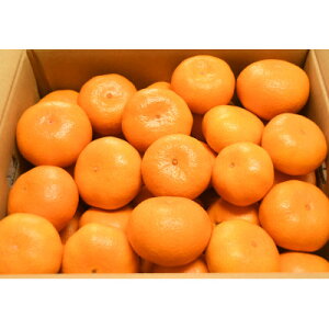 yӂ邳Ɣ[ŁzÂ݂10kgy1687706z