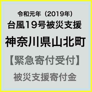 yӂ邳Ɣ[ŁzyߘaN 䕗19ЊQxً}񕍎tz_ސ쌧RkЊQ񕍋iԗi͂܂j