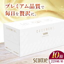 K03 クレシアギフト カシミヤ スコッティ 10箱 ティ...