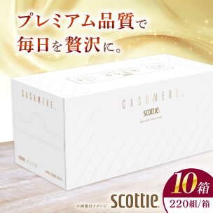 K03 クレシアギフト カシミヤ スコッティ 10箱 ティ...