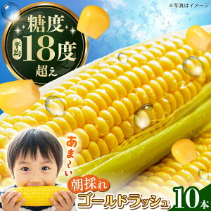 yӂ邳Ɣ[Łzys\zS[hbV Ƃ낱10{yt@[z lC Lv BBQ Ƃ   gERV XC[gR[ R[[BDAF004]