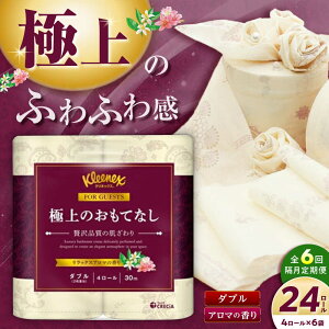 yӂ邳Ɣ[ŁzyS6ցi21͂jzR02 ɏ̂ĂȂgCbg[i_uj 24[(4[×6pbN) gCbgy[p[y{NVAЁzJ 