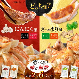 【ふるさと納税】【あなたはどっち派？】選べる餃子2種セット！【餃子屋ヒロ】開成町 餃子　点心 惣菜 冷凍[BDAS008]