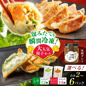 【ふるさと納税】【年内発送】【選べるパック数！】餃子屋ヒロの大人気餃子セット＋特製味噌ダレ付【餃子屋ヒロ】開成町 餃子 点心 惣菜 冷凍[BDAS009]