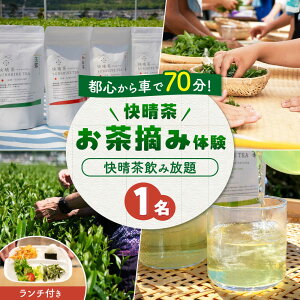 yӂ邳Ɣ[Łzy`tzuvEݑ̌`Pbg[BDAT006]