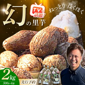 【ふるさと納税】【先行予約】【メディア多数掲載！開成弥一芋】ホクホクねっとりやわらか〜い里芋 2キロ【文命農業】開成町 サトイモ さといも 野菜[BDAX002]