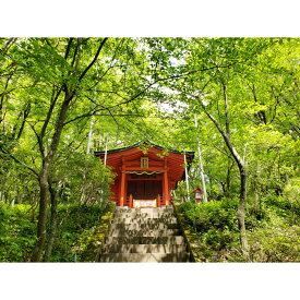 【ふるさと納税】箱根 芦ノ湖！箱根神社水上鳥居と九頭龍神社本宮参拝モーターボートクルージング（40分コース） | 券 人気 おすすめ 送料無料