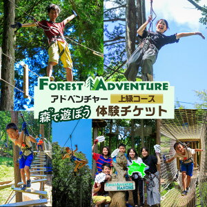 yӂ邳Ɣ[ŁzAhx`[R[X̌`Pbg(㋉R[X) |  lC  