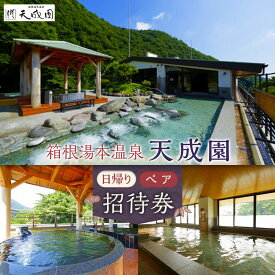 【ふるさと納税】【箱根湯本温泉　天成園】日帰りペア招待券 | 利用券 温泉利用券 温泉 日帰り 露天 露天風呂 入浴 ペア 人気 おすすめ チケット 旅行 トラベル ギフト プレゼント 休暇 人気 おすすめ 神奈川 箱根
