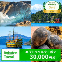 神奈川県 箱根 箱根温泉 旅行券 クーポン チケット 宿泊券 旅館 ホテル...