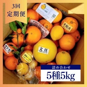 �y�ӂ邳�Ɣ[�Łz�y�������Œ����ցz1�`3���̋G�߂̊��k�l�ߍ��킹5kg(3������)�����Ⴄ�y�������kBox�S3��y4072435�z