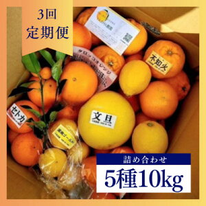 yӂ邳Ɣ[ŁzyŒցz1`3G߂̊klߍ킹10kg(3)ႤykBoxS3y4072436z