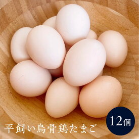 【ふるさと納税】平飼い烏骨鶏のたまご12個 | 湯河原町 ミックスファーム 烏骨鶏 こだわり飼育 朝食 | 卵 食品 人気 おすすめ 送料無料
