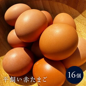 【ふるさと納税】平飼い赤たまご16個 | 湯河原町 ミックスファーム 赤たまご こだわり飼育 朝食 | 卵 食品 人気 おすすめ 送料無料