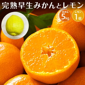 【ふるさと納税】【先行予約】完熟早生みかん5kgと璃の香（レモン）1個【2026年12月下旬以降発送】