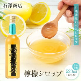 【ふるさと納税】檸檬シロップ　520ml | 湯河原町 湘南 柑橘 レモン シロップ 手作り フルーツ アレンジ