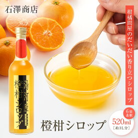 【ふるさと納税】橙柑シロップ　520ml| 湯河原町 湘南 柑橘 だいだい シロップ 手作り フルーツ アレンジ