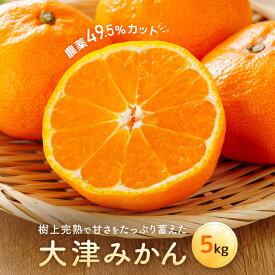 【ふるさと納税】大津みかん（5kg）※12月中旬～下旬発送 | 湯河原町 自然栽培 旬 みかん フルーツ 大津4号 | みかん 大津みかん 大津 フルーツ 柑橘 湯河原 人気 おすすめ 送料無料