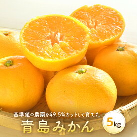 【ふるさと納税】青島みかん（5kg）※12月中旬～下旬発送 | 湯河原町 果実 旬 柑橘 フルーツ | みかん 青島みかん 青島 フルーツ 柑橘 湯河原 人気 おすすめ 送料無料