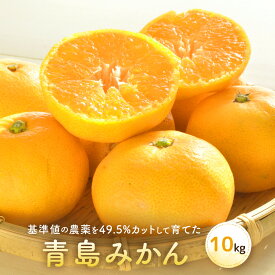 【ふるさと納税】青島みかん（10kg）※12月中旬～下旬発送 | 湯河原町 果実 旬 柑橘 フルーツ | みかん 青島みかん 青島 フルーツ 柑橘 湯河原 人気 おすすめ 送料無料