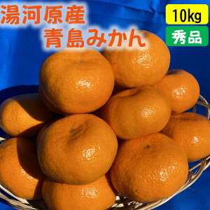 �y�ӂ邳�Ɣ[�Łz�N���N�n�ɂ��y���߂�@���o���@���݂���@10kg �@2025�N12��21�����`�N���ɔ��� | ���͌��� ���݂��� 10kg �t���[�c ���o������ �Z��