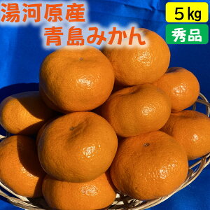 �y�ӂ邳�Ɣ[�Łz�N���N�n�ɂ��y���߂�@���o���@���݂���@5kg�@�@2025�N12��21�����`�N���ɔ��� | ���͌��� ���݂��� 5kg �t���[�c ���o������ �Z��