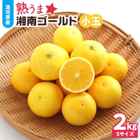 【ふるさと納税】【希少フルーツ】熟ウマ☆小玉・湘南ゴールド(Sサイズ)　2kg　2027年3月上旬～3月中旬頃発送予定 | 湯河原町 小玉 Sサイズ 2kg 種なし 柑橘類 地域特産品