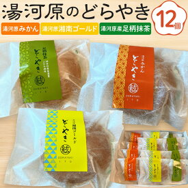 【ふるさと納税】湯河原のどらやき12個セット（湯河原みかん4個・湯河原湘南ゴールド4個・湯河原産足柄抹茶4個）| 湯河原町 どら焼き 和菓子 手土産 スイーツ | 菓子 おかし 食品 人気 おすすめ 送料無料