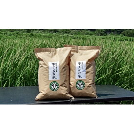 【ふるさと納税】令和7年産「牛さんのお米」はるみ　6kg(3kg×2袋)【1350016】