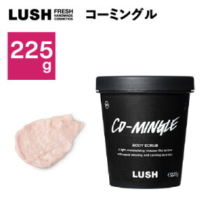 yӂ邳Ɣ[ŁzLUSH bV R[~O {fBXNu225g_ LUSH bV R[~O {fBXNu lC    Mtg v[g y1448560z