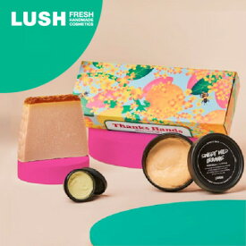 【ふるさと納税】LUSH ラッシュ サンクスハンズ ハンドケア ギフト セット ハンドメイド【1550093】