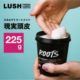 【ふるさと納税】LUSH ラッシュ スカルプトリートメント 現実頭皮 ハンドメイドコスメ_ LUSH ラッシュ スカルプトリートメント スカルプ トリートメント ミント 頭皮ケア 頭皮 スカルプケア 美容 コスメ 日用品 贈答 ギフト プレゼント 神奈川県 送料無料 【1550094】