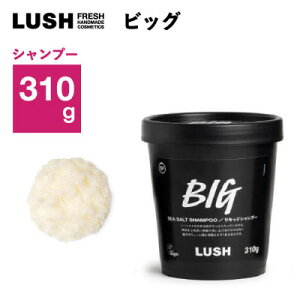 yӂ邳Ɣ[ŁzLUSH bV rbO LbhVv[ 310g XJvPA V[\gy1640981z