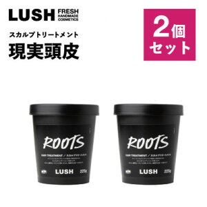 yӂ邳Ɣ[ŁzLUSH (bV)  XJvg[gg 225g 2Zbgy1664257z
