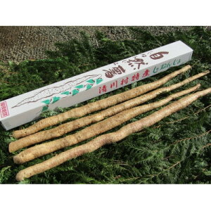 yӂ邳Ɣ[Łz쑺Y@悩펩R2000(2kg){܂y1326825z