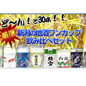 【ふるさと納税】酒処・新潟の地酒ワンカップ30銘柄飲み比べ