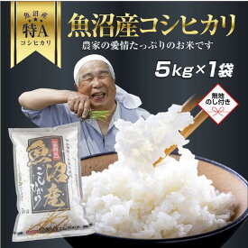 【ふるさと納税】DH17 「無地熨斗」 新潟県 魚沼産 コシヒカリ お米 5kg こしひかり 精米 米（お米の美味しい炊き方ガイド付き）