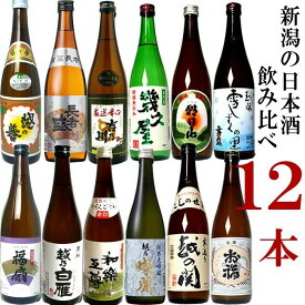 【ふるさと納税】純米大吟醸入り！12種類もたのしめる！新潟地酒セット720ml×12本