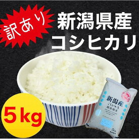 【ふるさと納税】【訳あり！】新潟県産コシヒカリ 5kg | お米 こめ 白米 食品 人気 おすすめ 送料無料