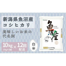 【ふるさと納税】【定期便全12回】新潟県魚沼産コシヒカリ10kg | お米 こめ 白米 食品 人気 おすすめ 送料無料