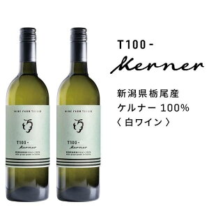 【ふるさと納税】栃尾ワインT100ケルナー 750ml 2本セット | お酒 さけ 人気 おすすめ 送料無料 ギフト