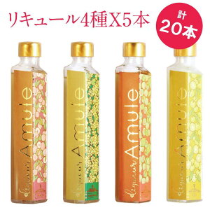 yӂ邳Ɣ[Łz{x[X4̃L[ Amule A~ y4ie200ml)×5Zbg v20{z |   lC   Mtg