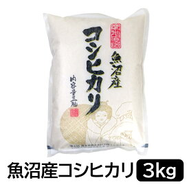 【ふるさと納税】【令和6年産】お米マイスター厳選！魚沼産コシヒカリ3kg | お米 こめ 白米 食品 人気 おすすめ 送料無料